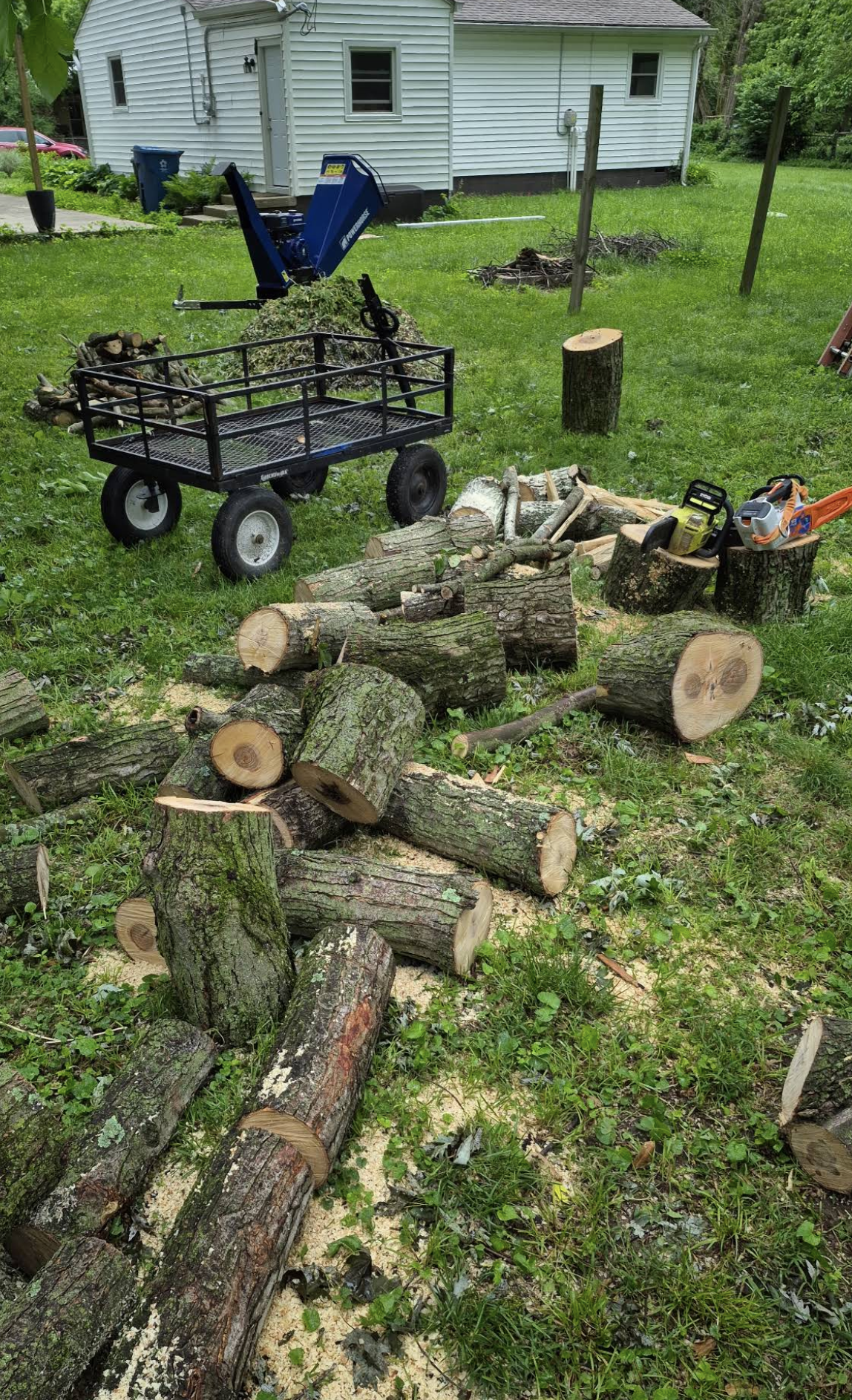 Tree service equipment on site