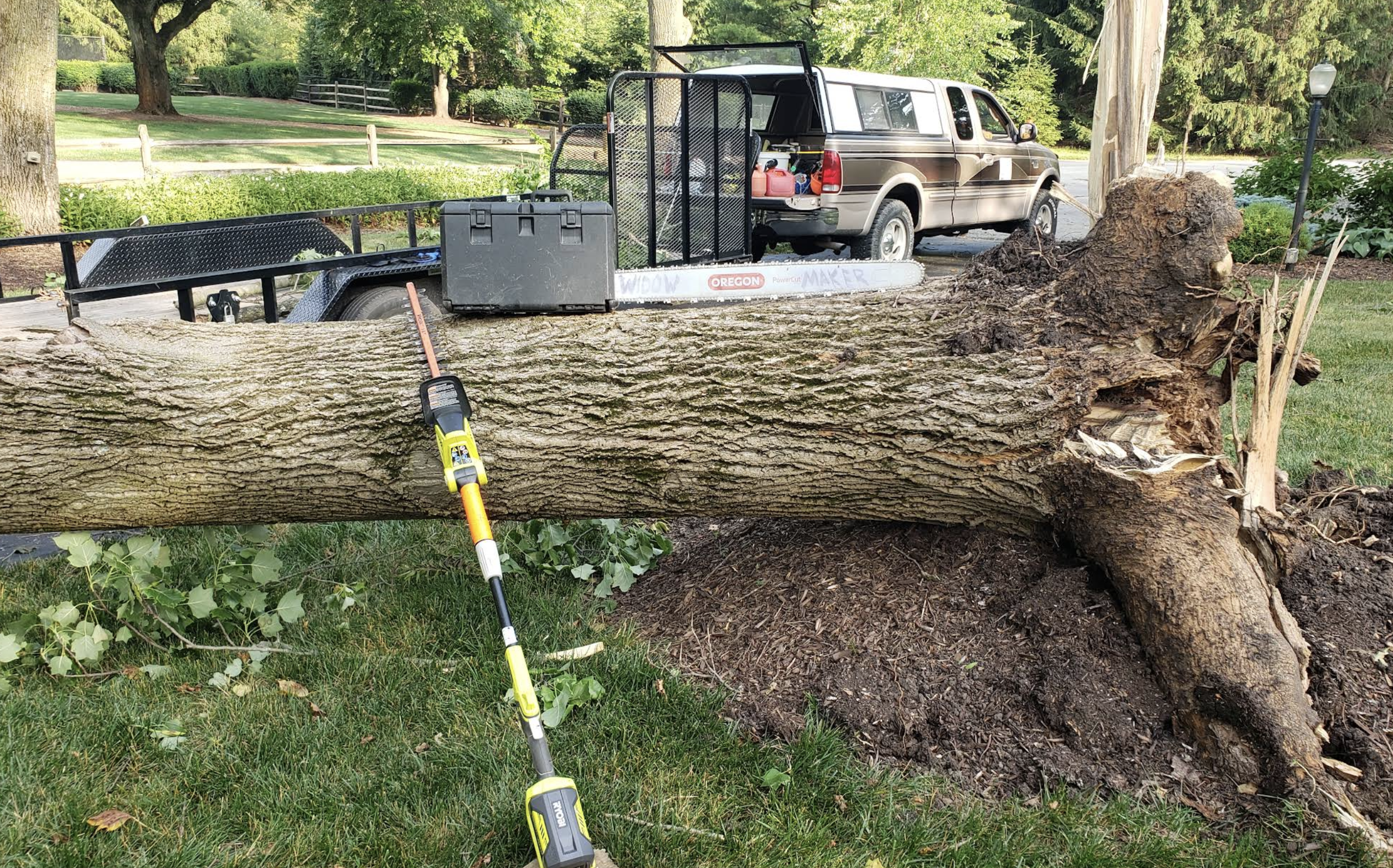 Completed tree care job