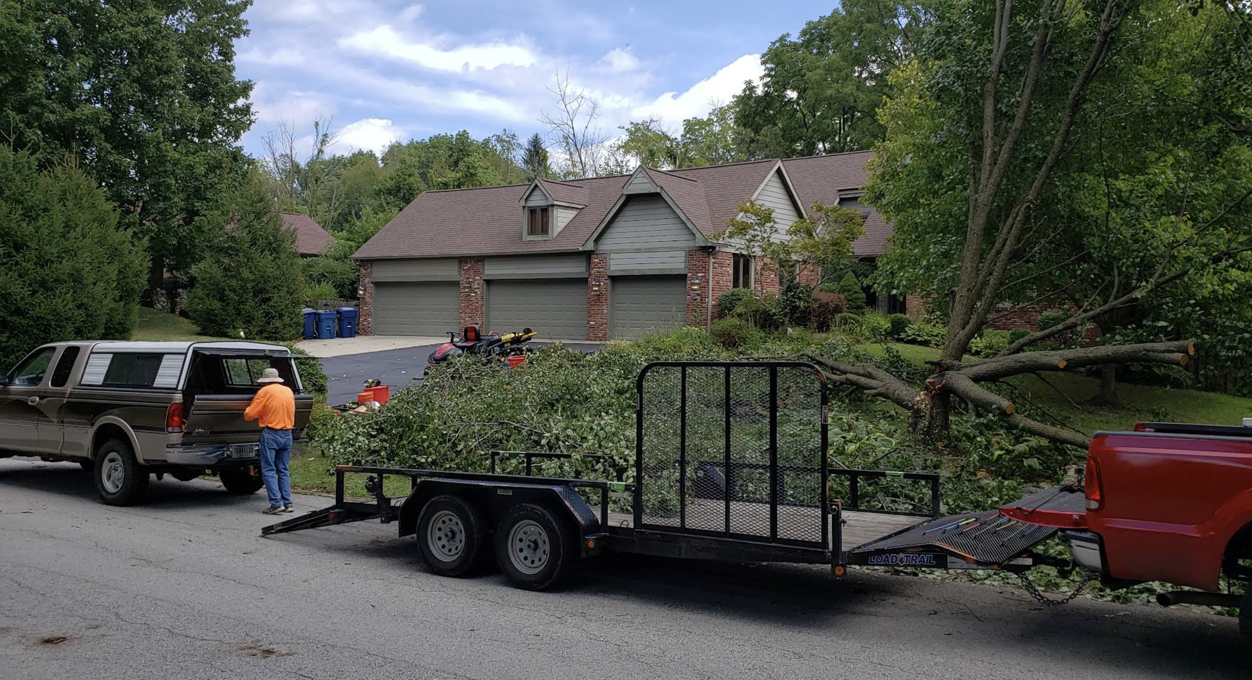 Crew trimming a tree canopy