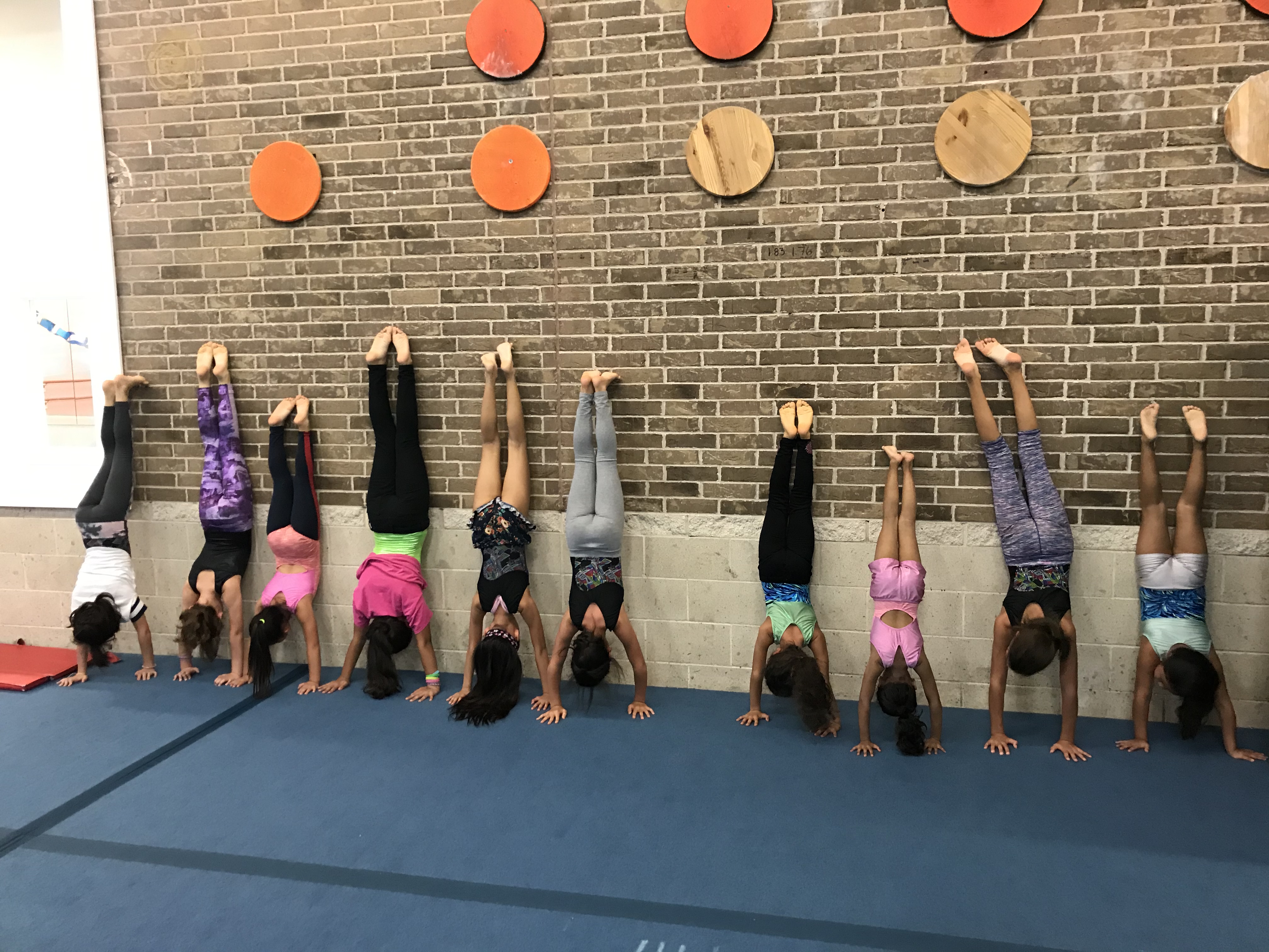 Young gymnast training at Alpha Omega