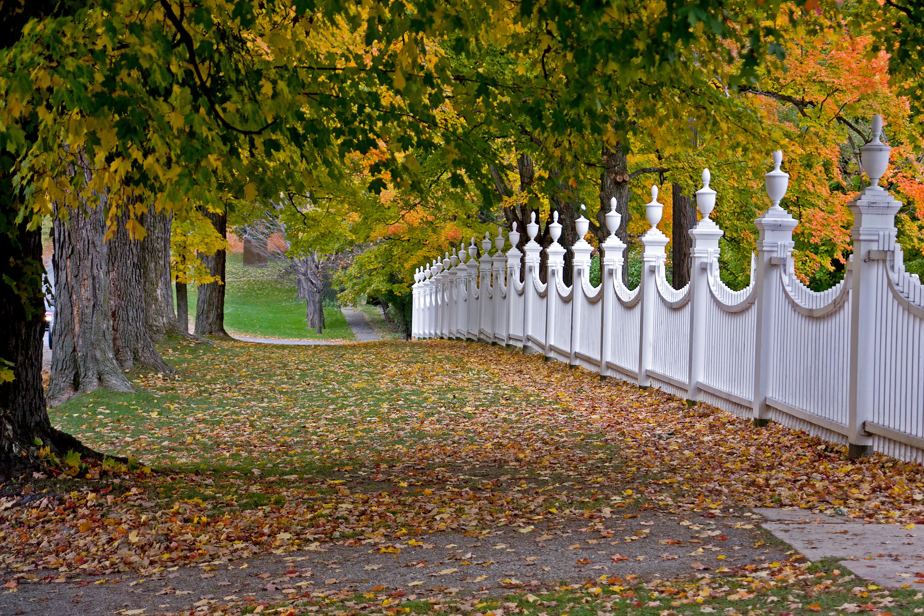 Underground Utility Mapping in Burlington