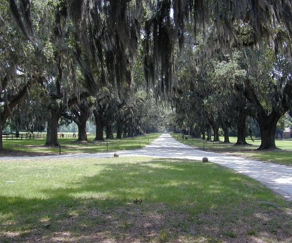 Mount Pleasant, SC
