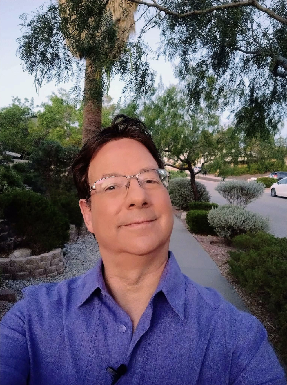 The Vision Clarity Protocol