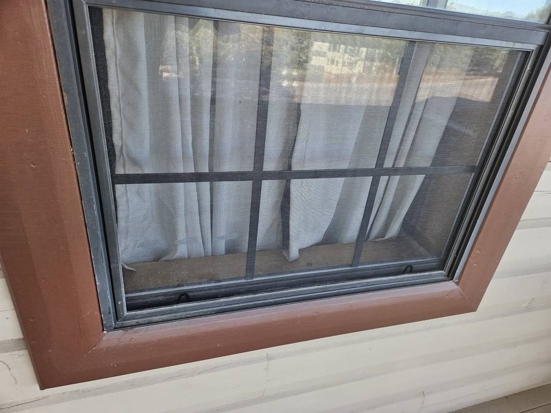 Window with new bug screen