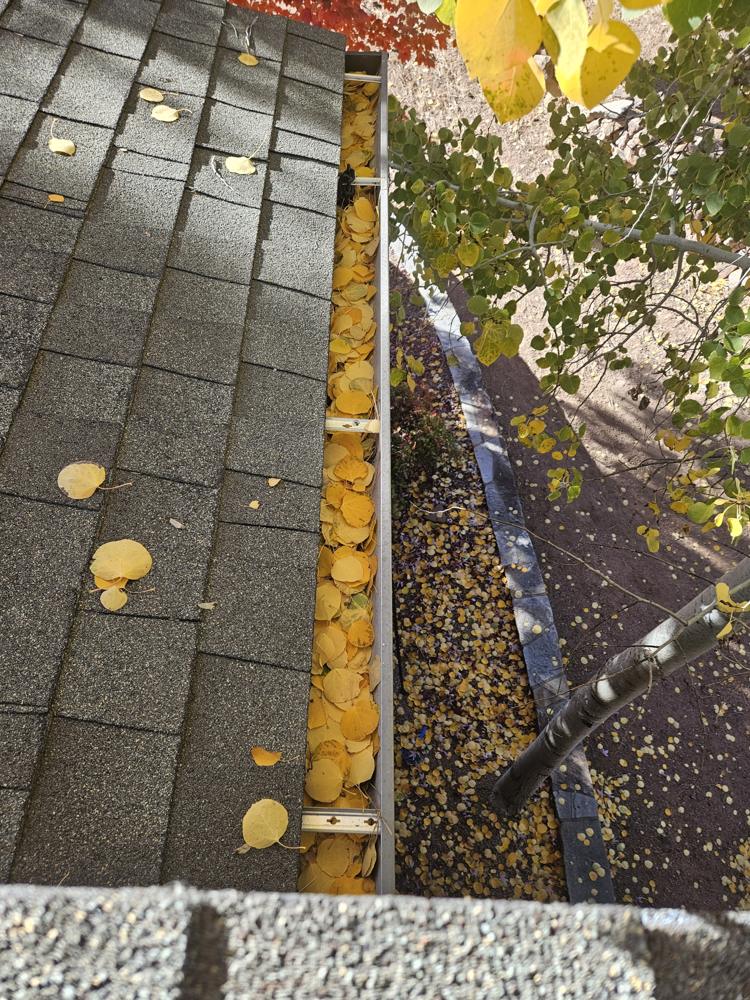 Open gutter full of fallen leaves