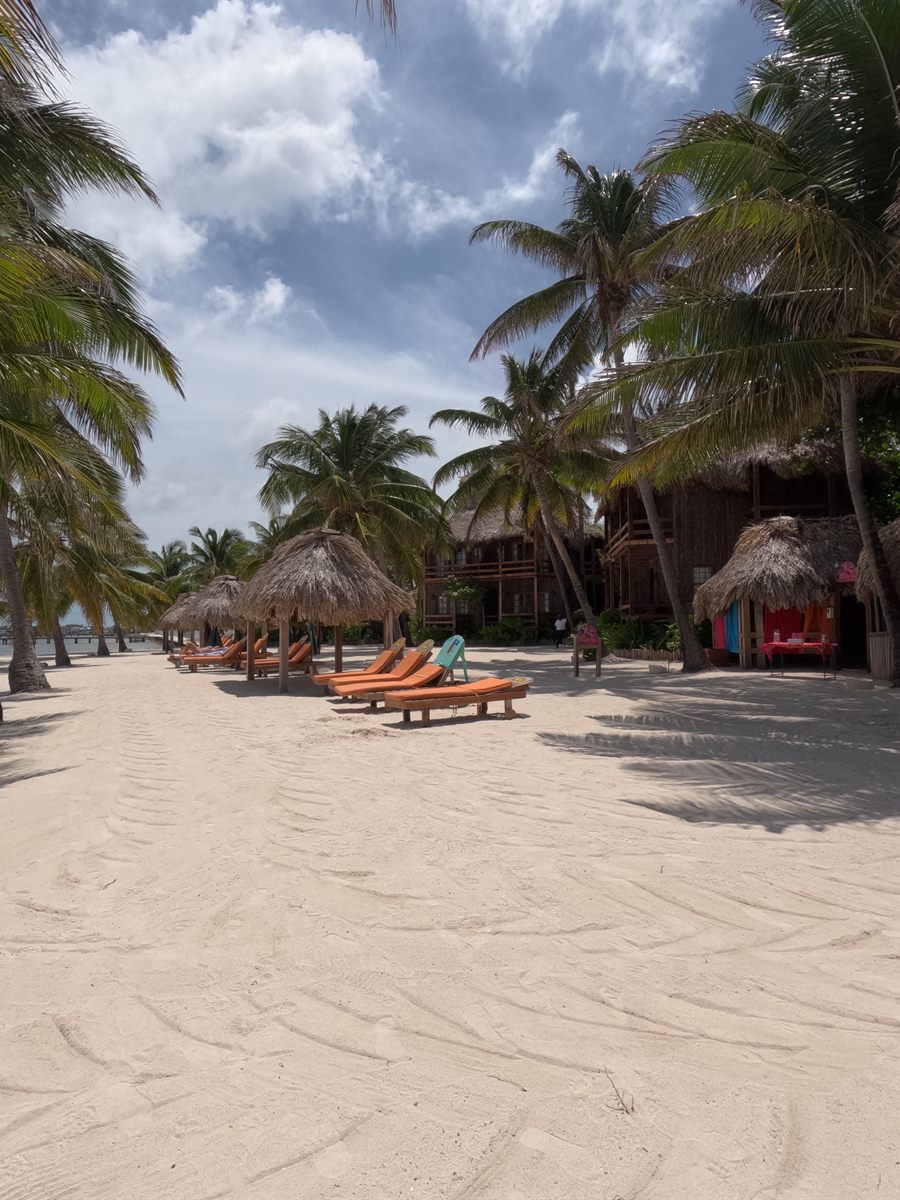 Loungers and thatched cabanas on a white sand resort beach