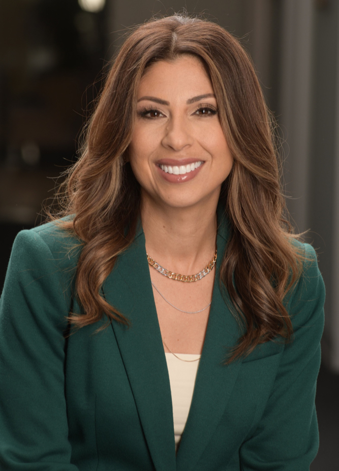 Professional Attorney