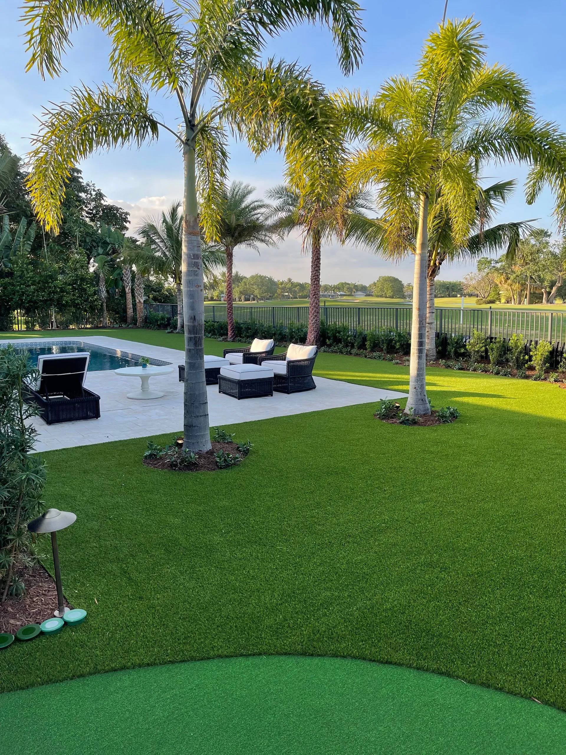 Palm tree installation by pool