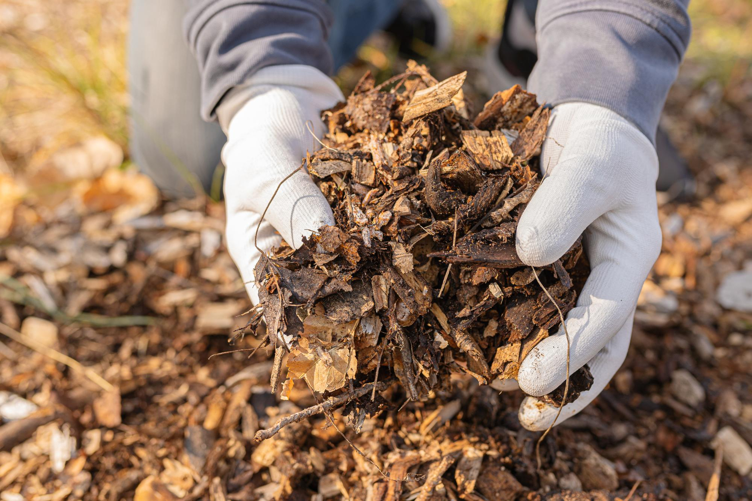 mulch