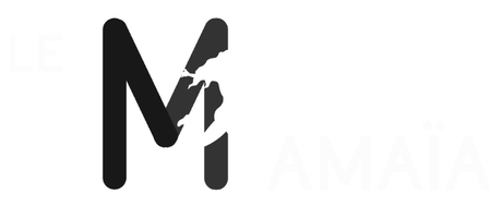 Logo Le Mamaïa - Studio de danse & bien-être à Cléon d'Andran
