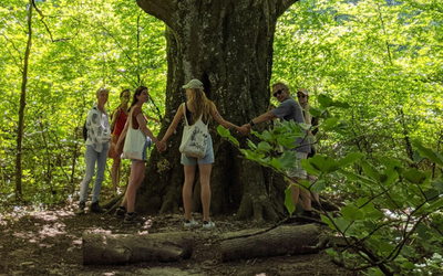 Yoga, pilates, stretching à Cléon d'Andran, dans la Drôme