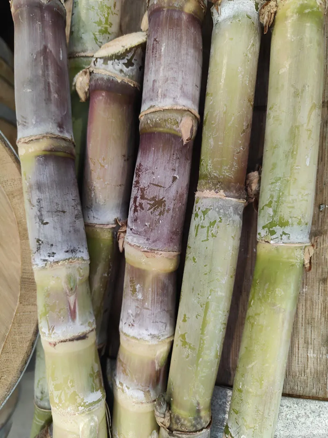 The Cairns Rum Company production detail