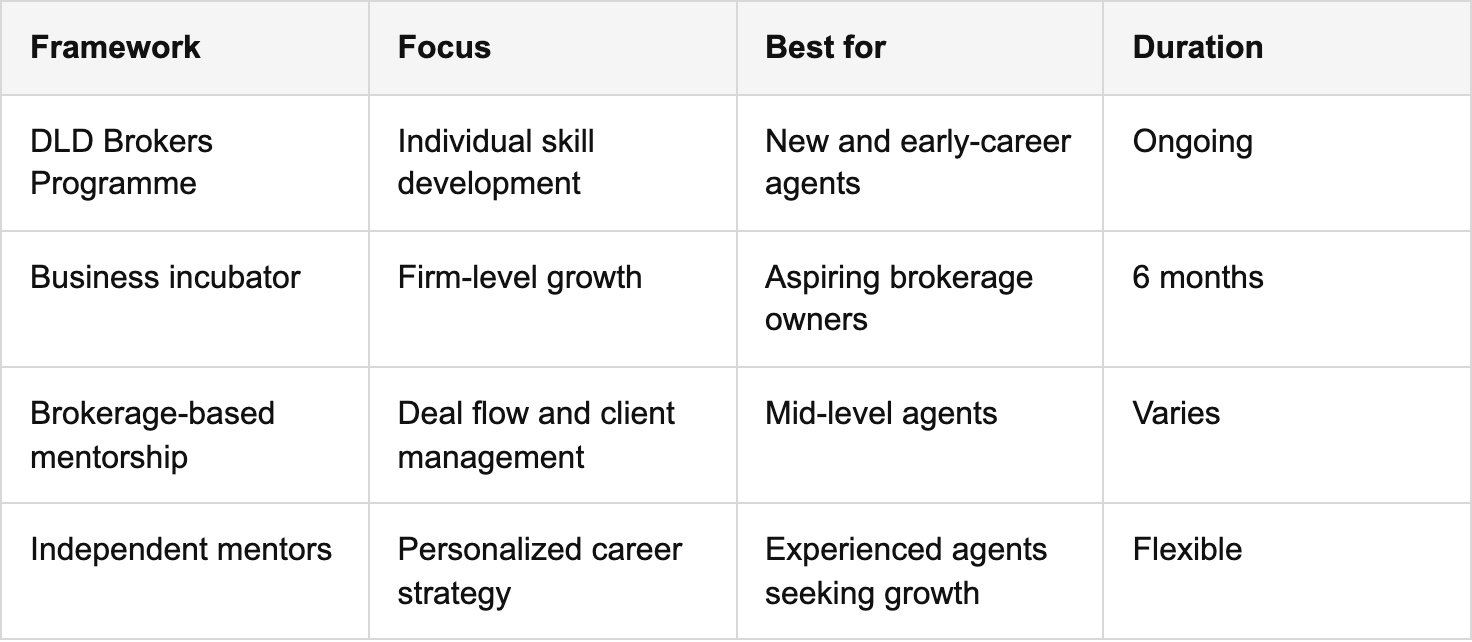 key mentorship frameworks in dubai real estate table