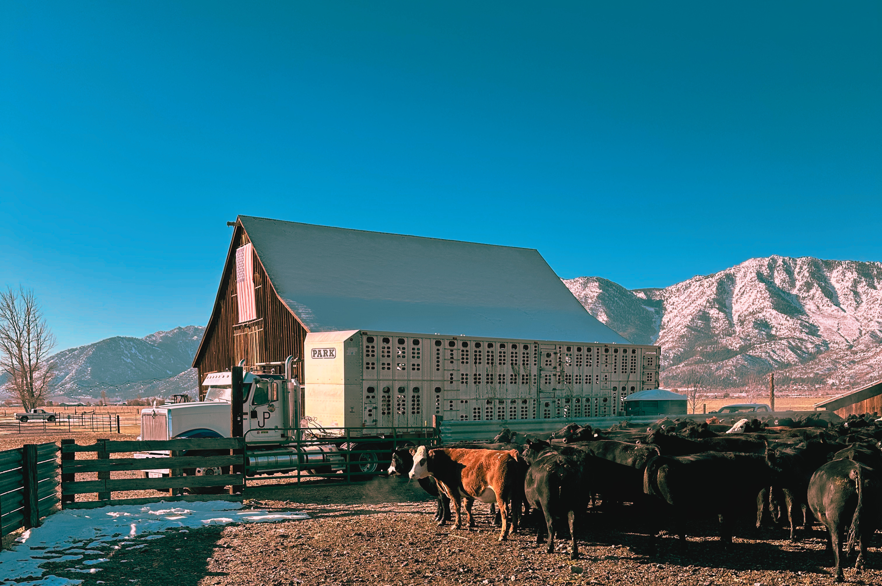 Historic Park Ranch Nevada landscape