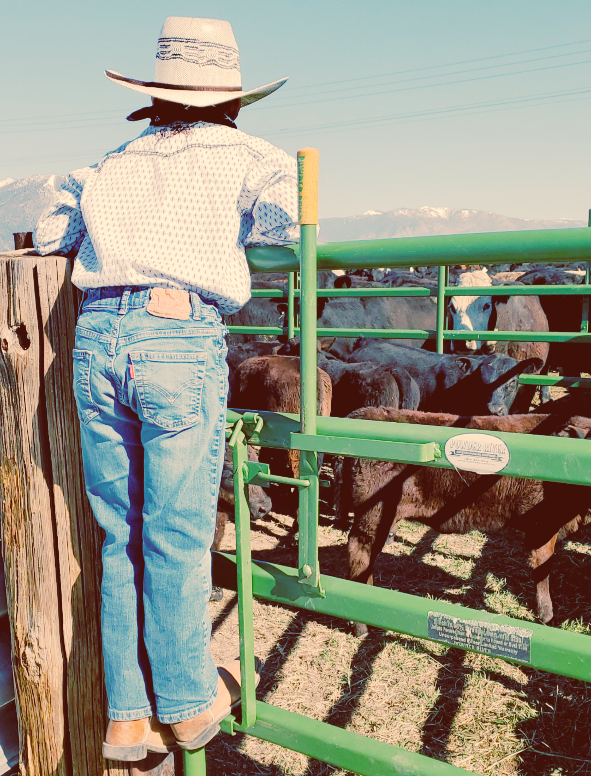 Park Ranch Nevada community and legacy