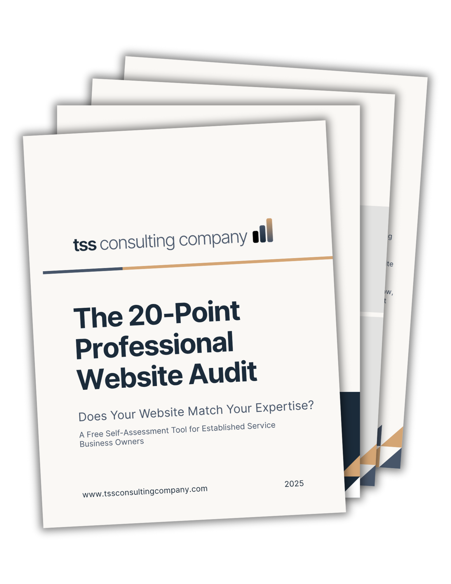 20-Point Professional Website Audit thumbnail