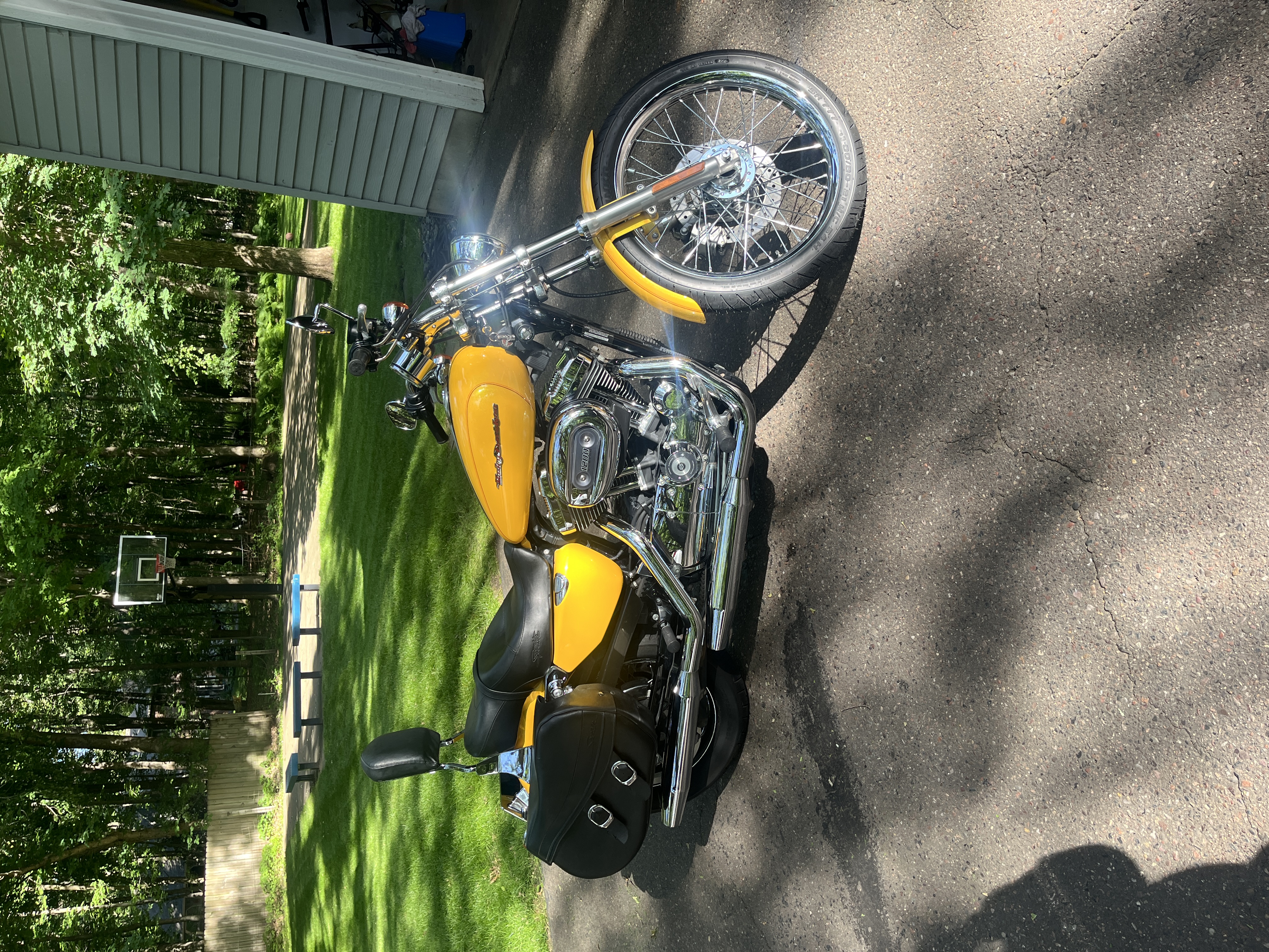 Yellow Harley-Davidson polished and waxed — motorcycle detailing Eau Claire