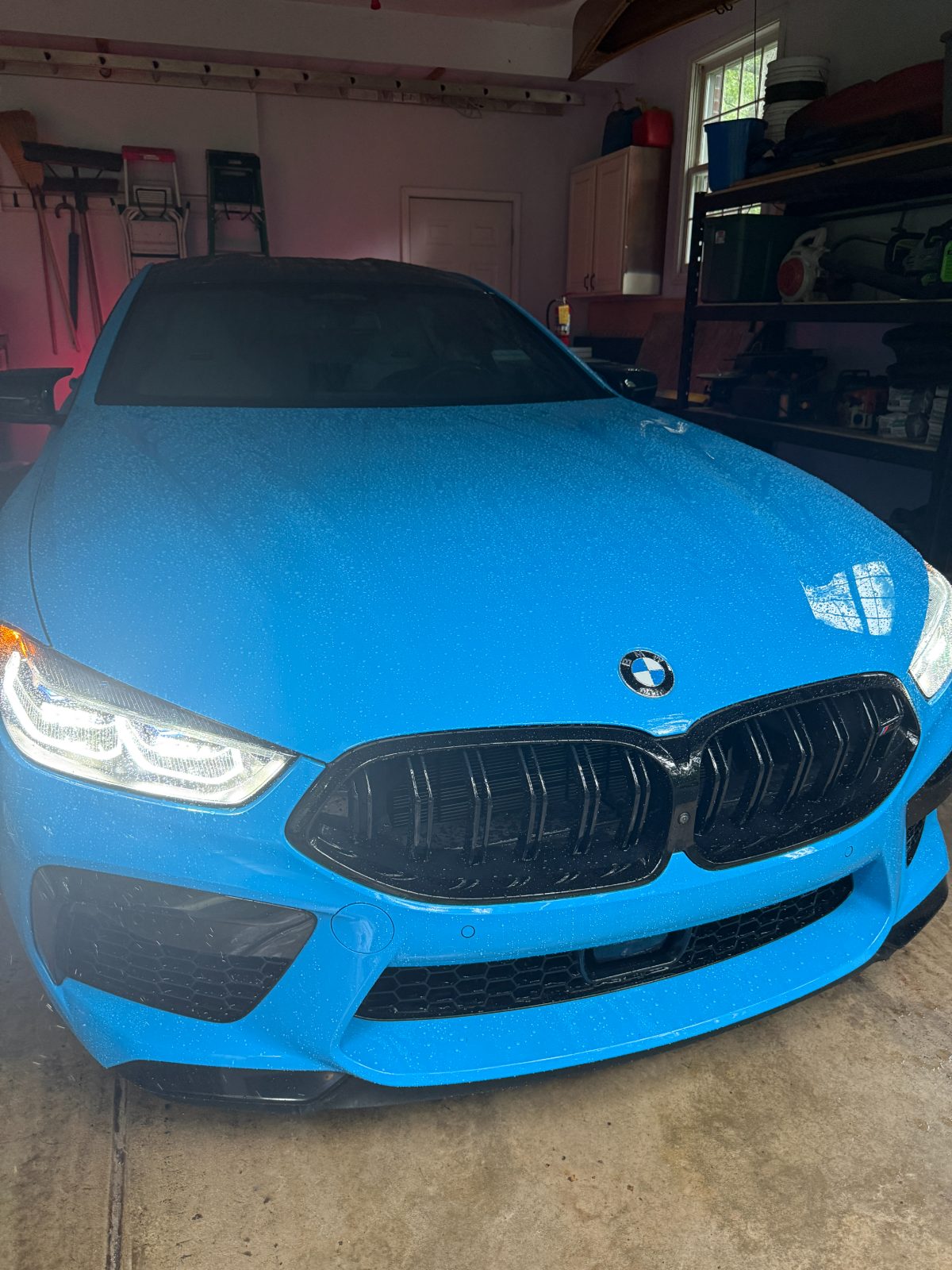Blue BMW M8 hood beading water after a ceramic coating — ceramic coating Eau Claire