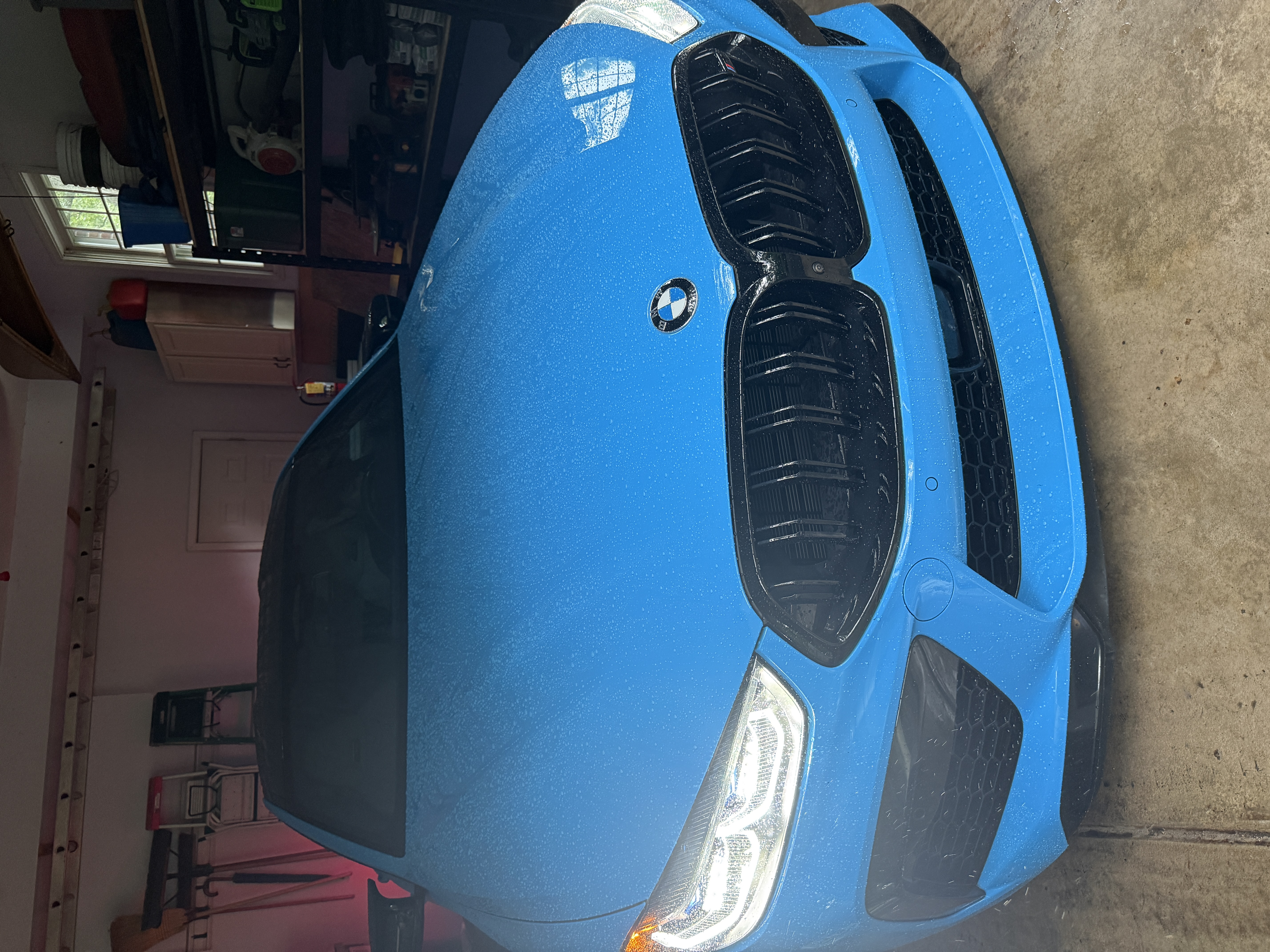 Water beading on a ceramic coated BMW M8 hood — ceramic coating Eau Claire