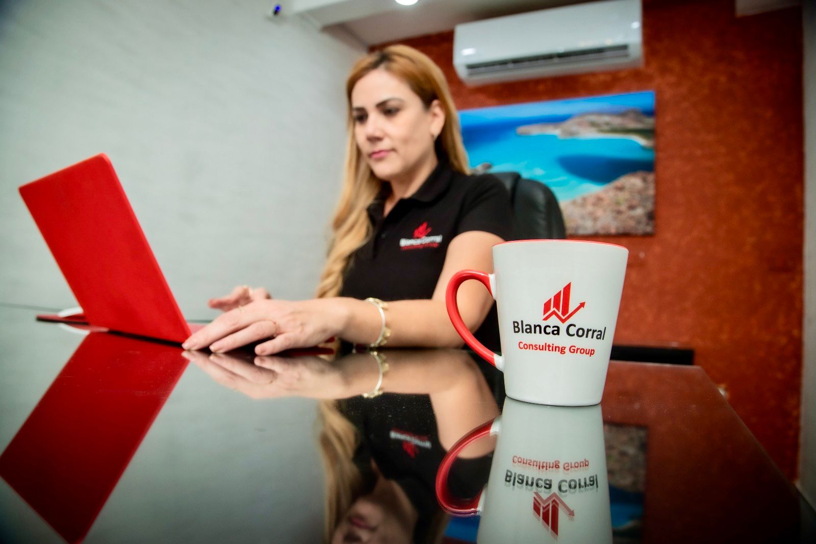 Blanca Corral Consulting