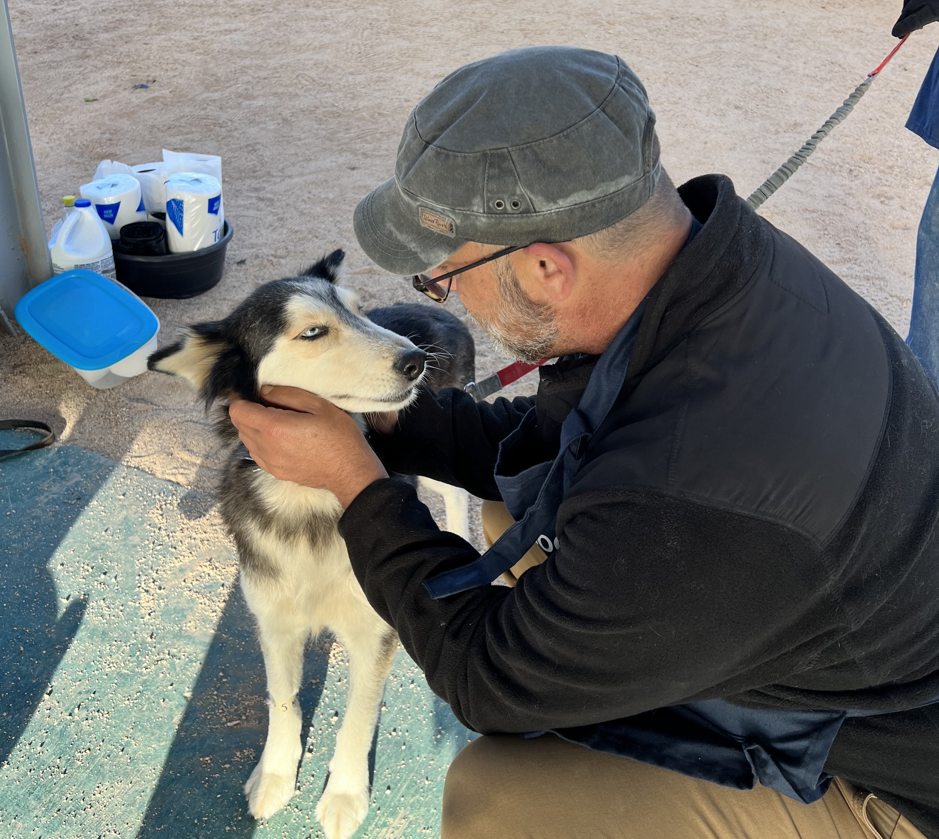 Baja Dogs Sterilizations