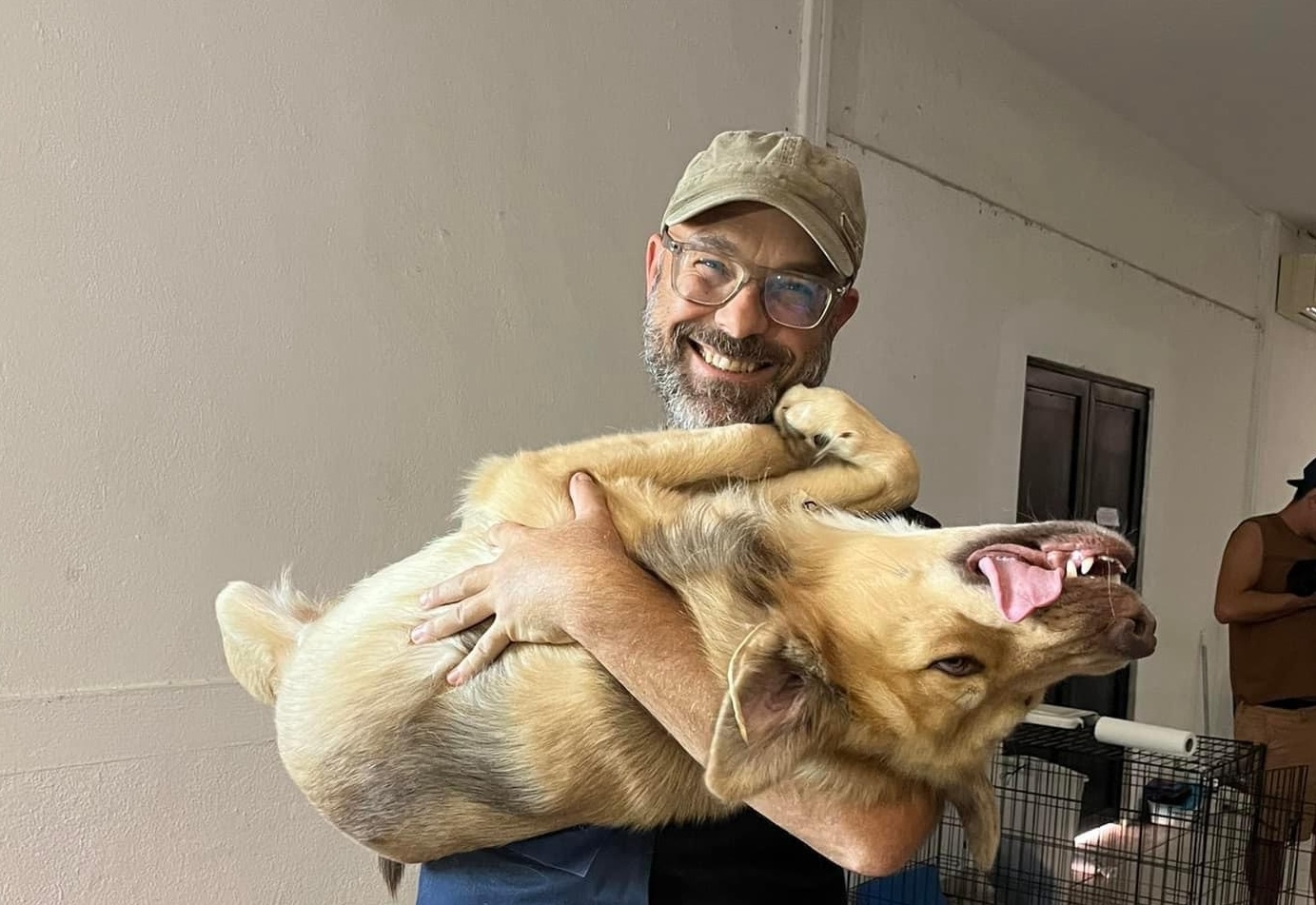 Baja Dogs Sterilizations Volunteer