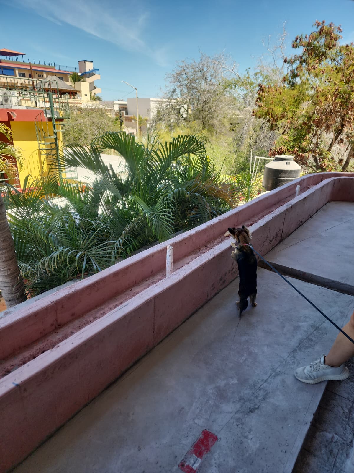 Elbie points out where tile will be added as patio accents