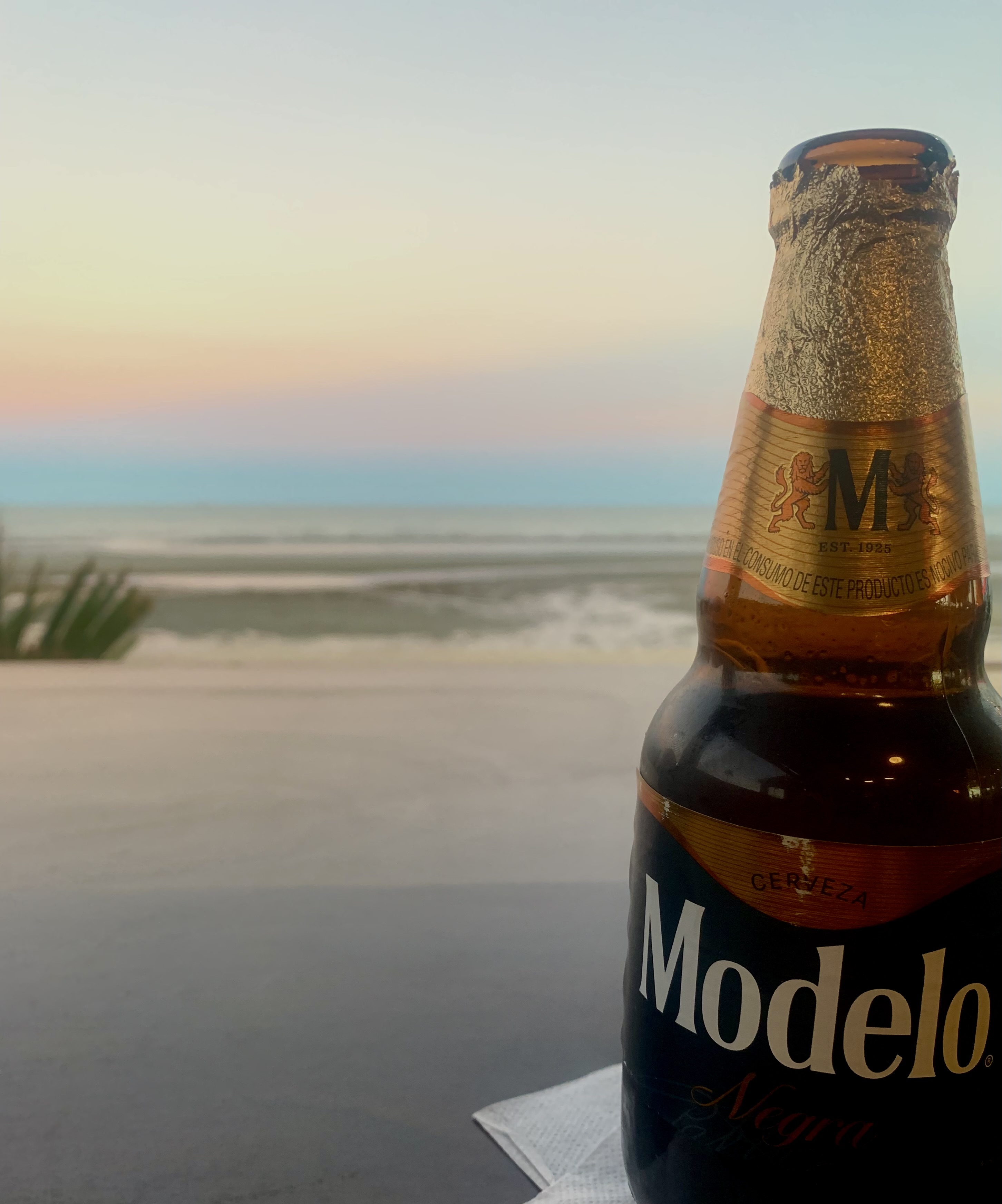 Modelo in San Felipe Baja California