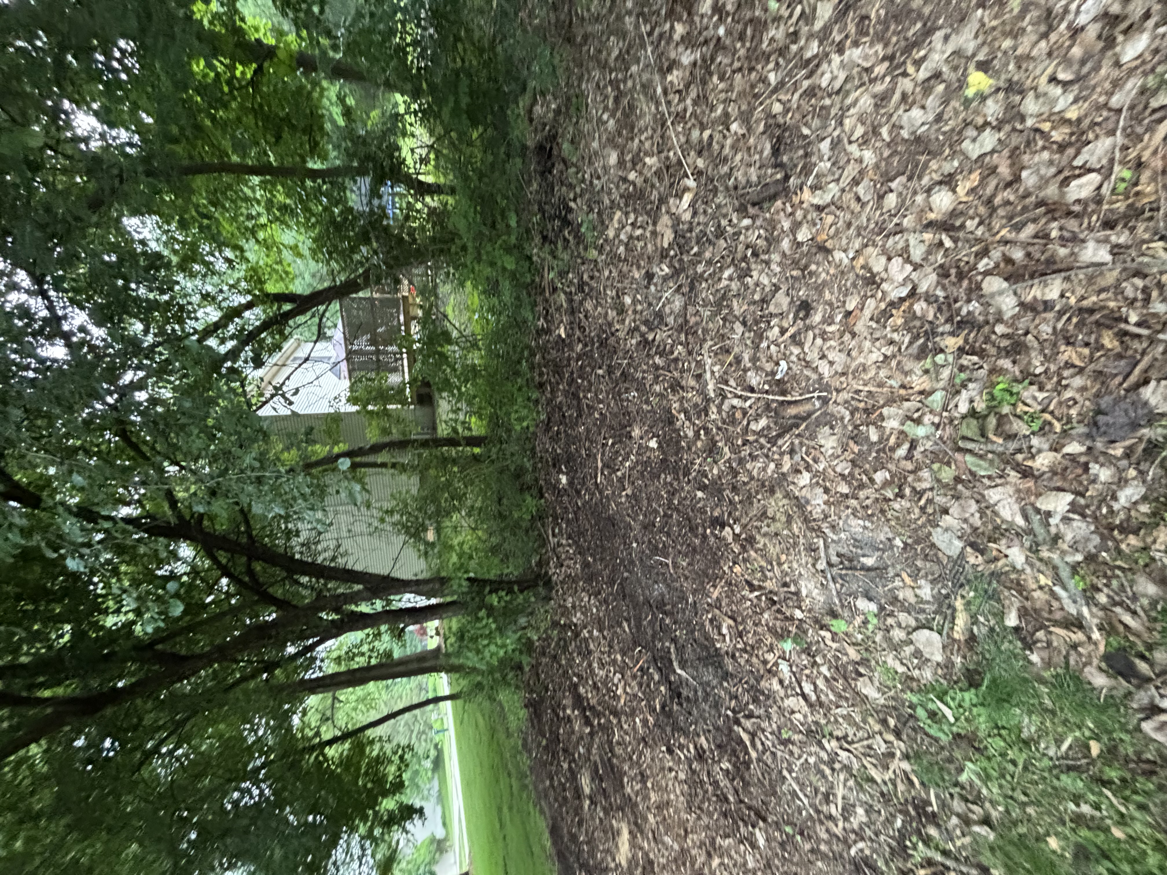 Cleared lot after construction debris removal