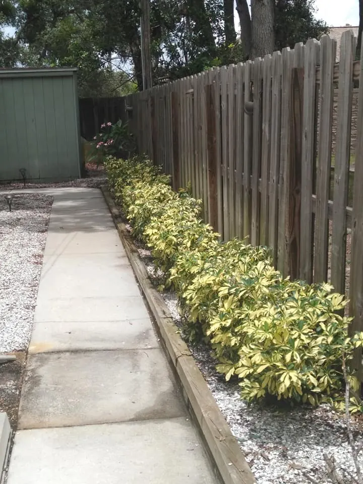 Fresh mulch delivery and installation in Pinellas County FL