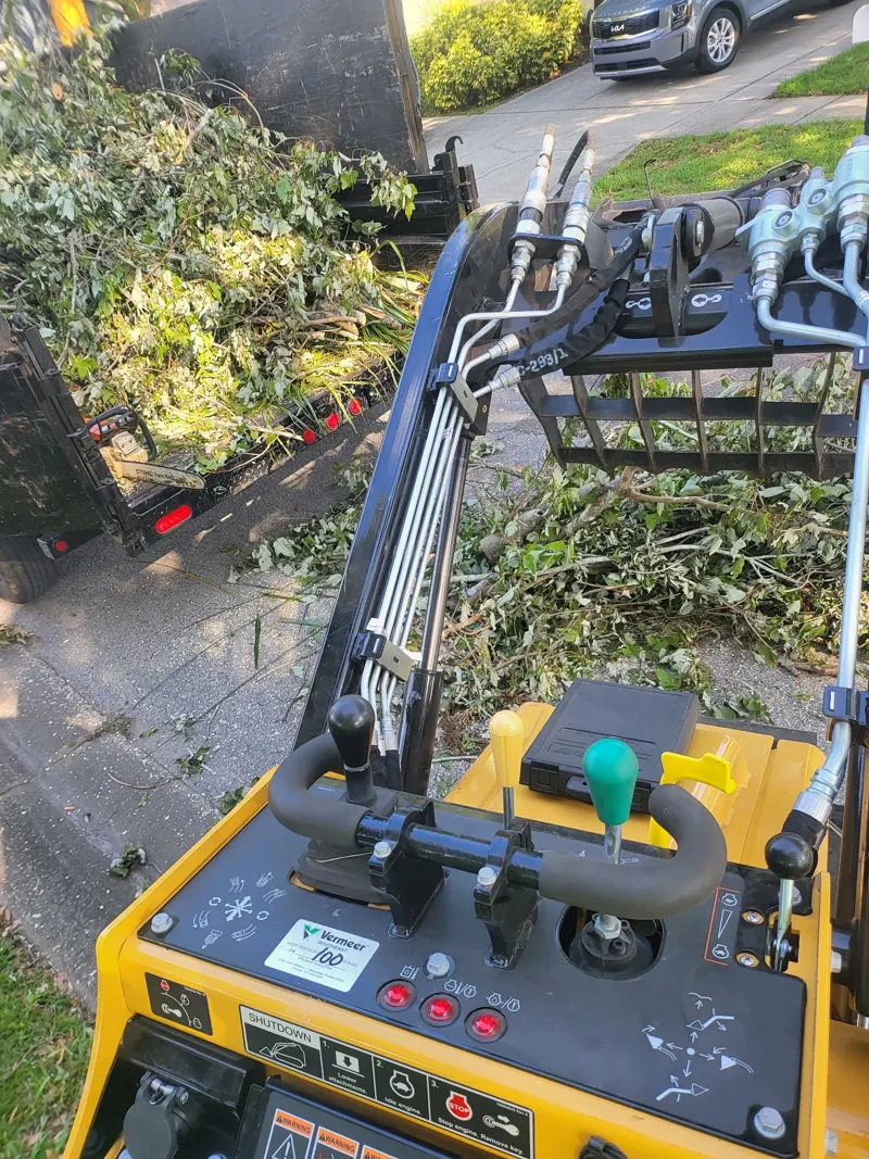 Stump grinding service completed in Pinellas County FL