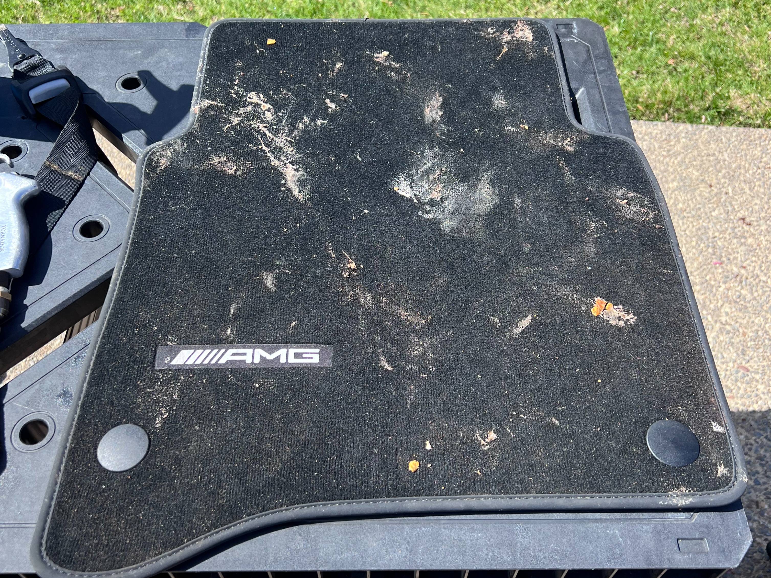 before auto detailing Roseville