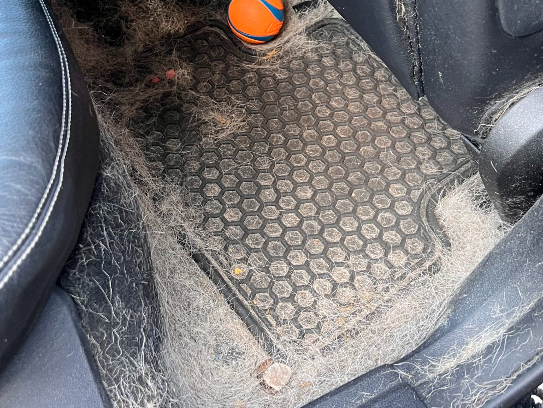 before auto detailing Roseville