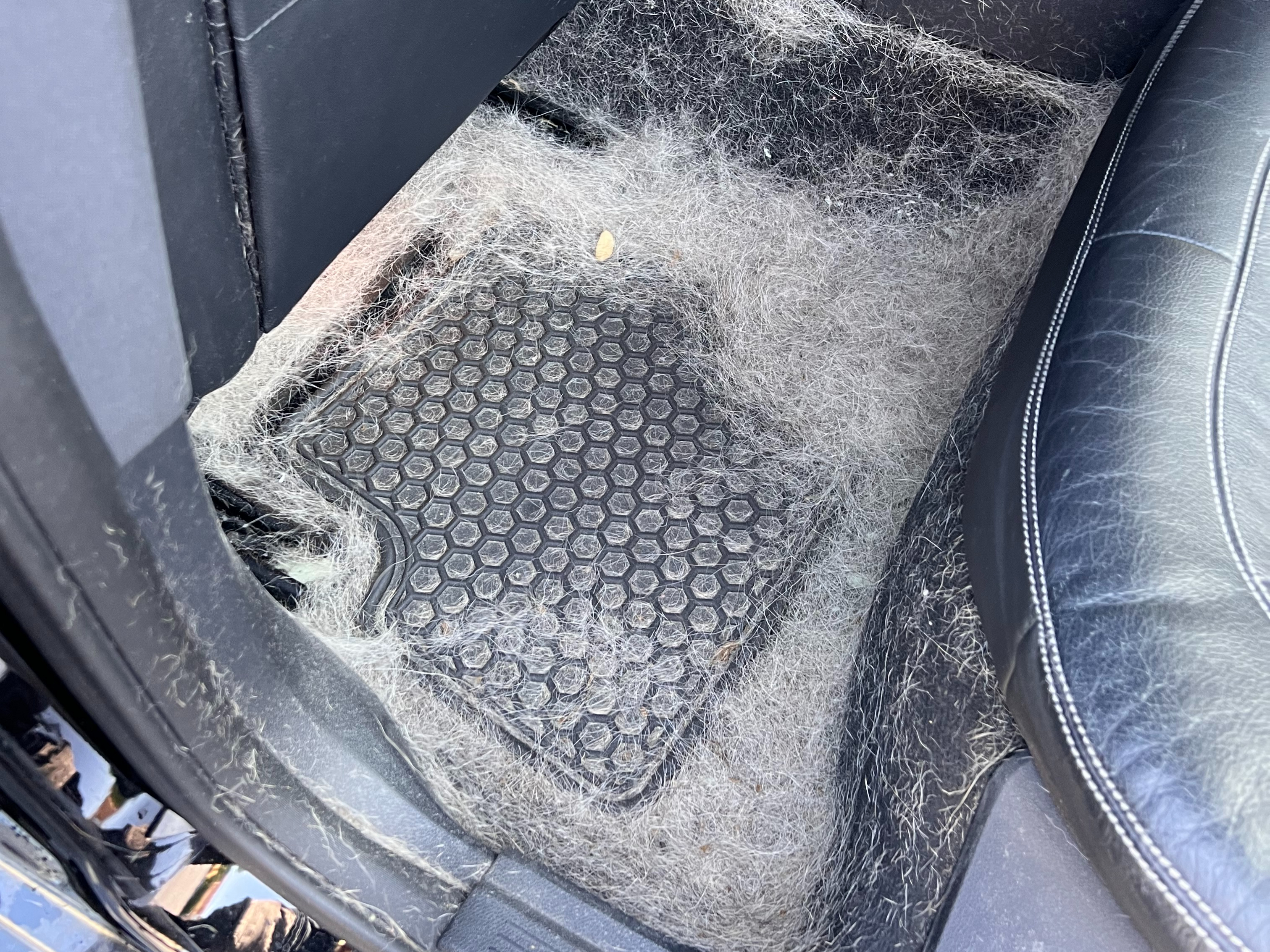 before auto detailing Roseville