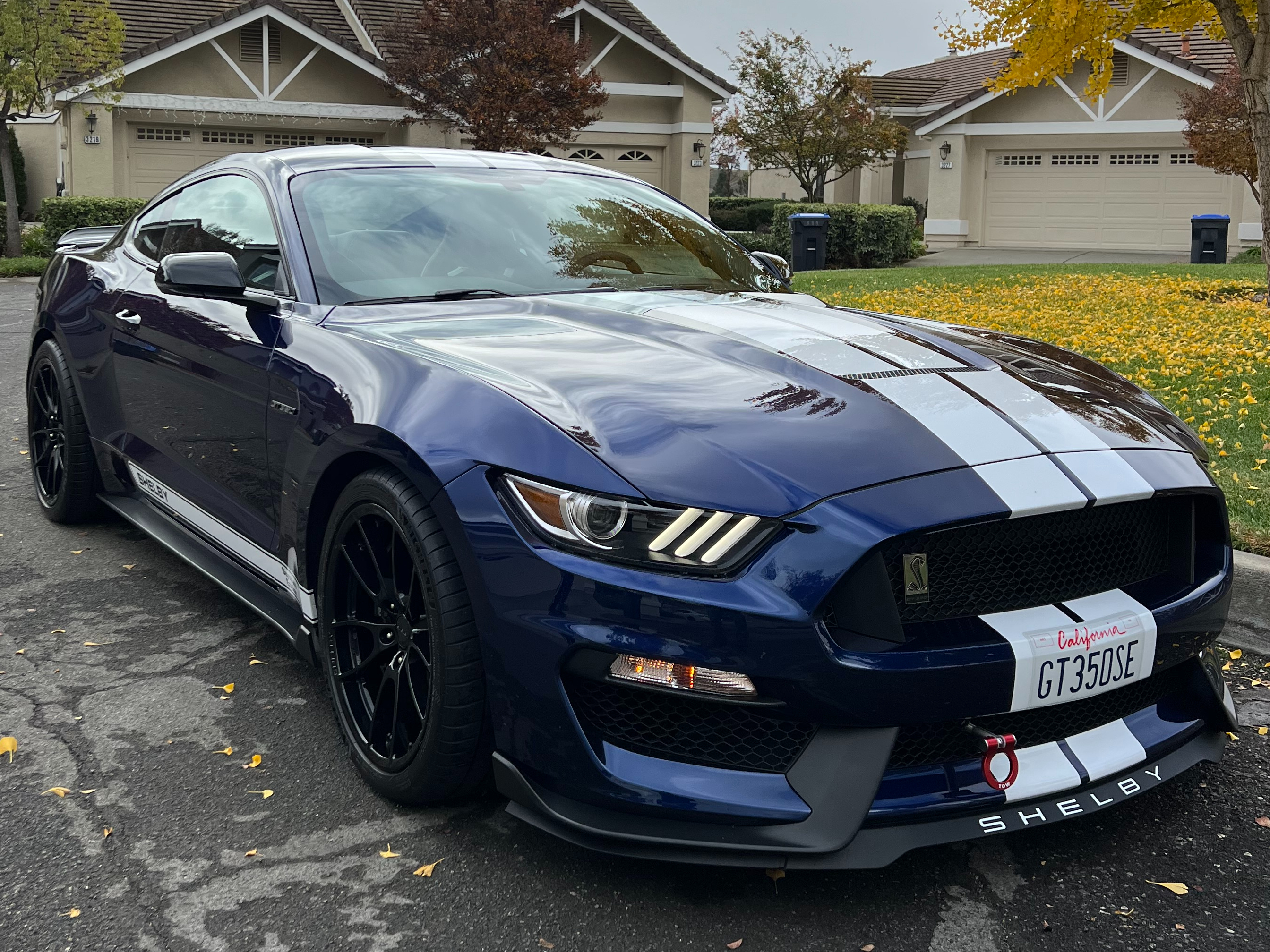 before auto detailing Santa Rosa