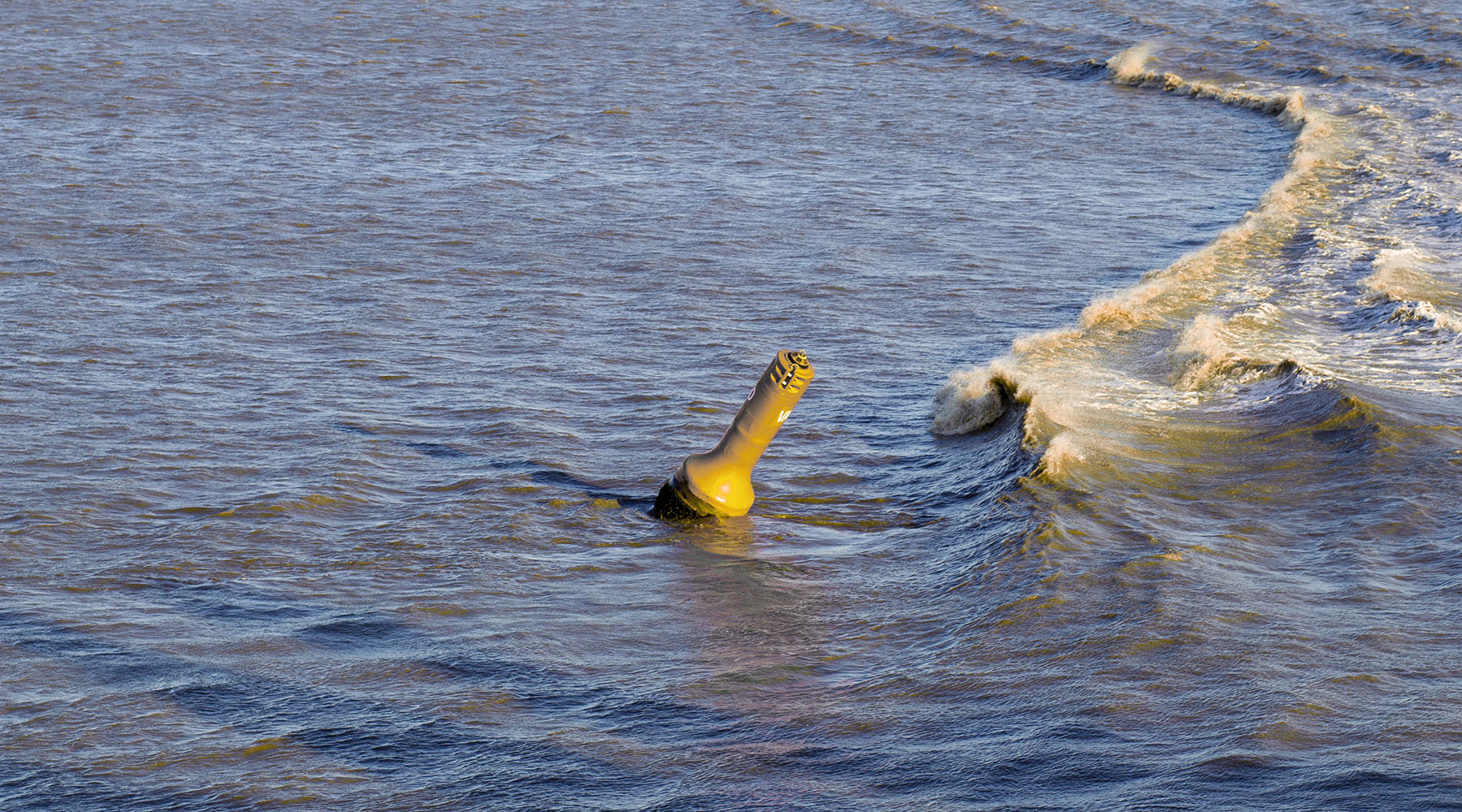 OCO business coaches