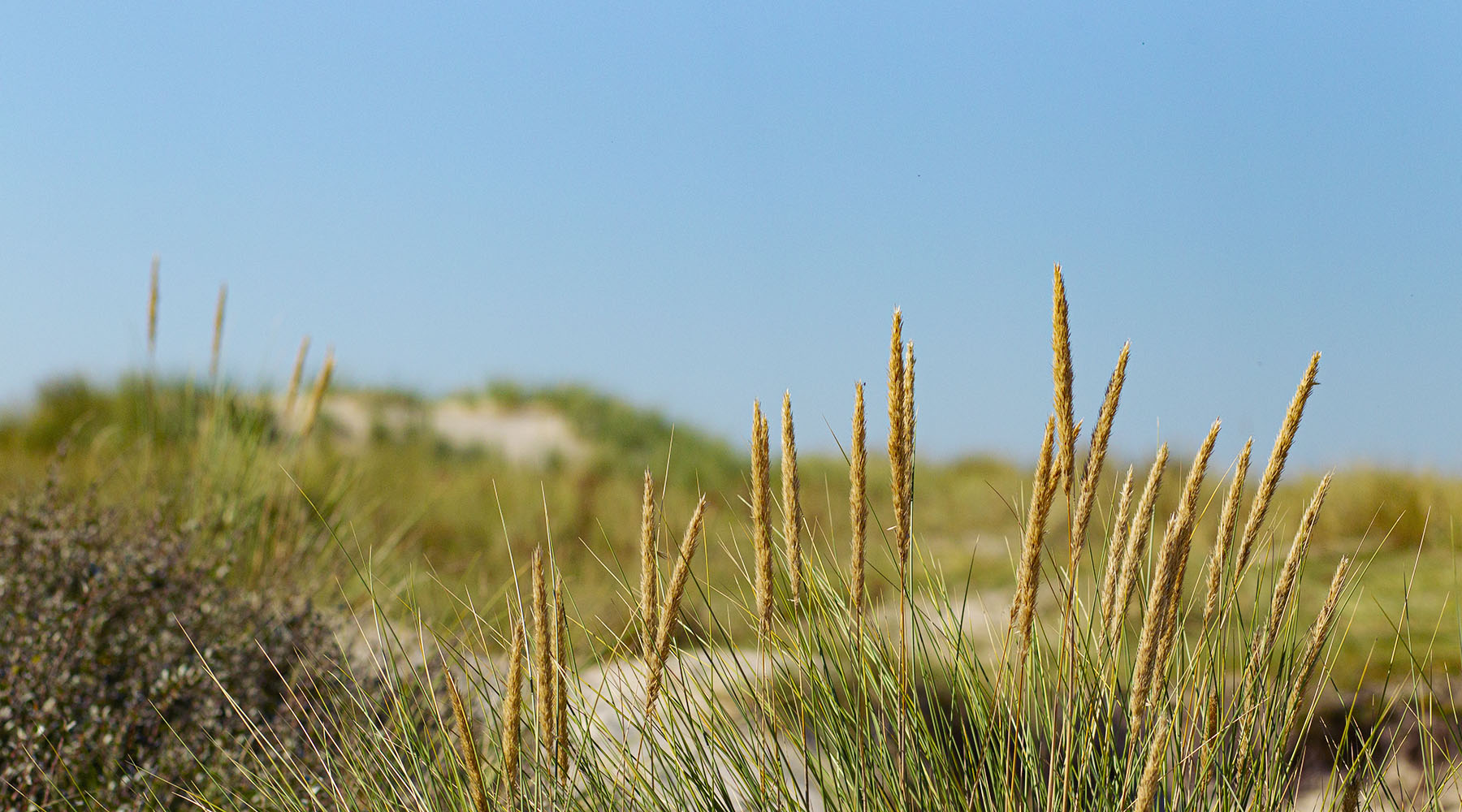 Over ons - Ondernemer coacht Ondernemer