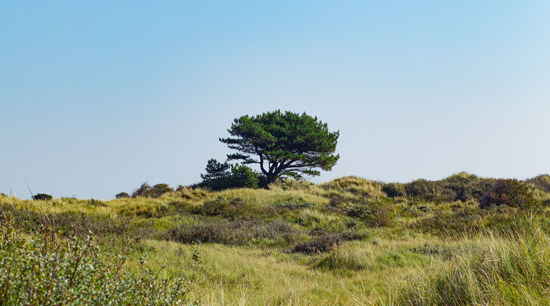 Ondernemer coacht Ondernemer hero