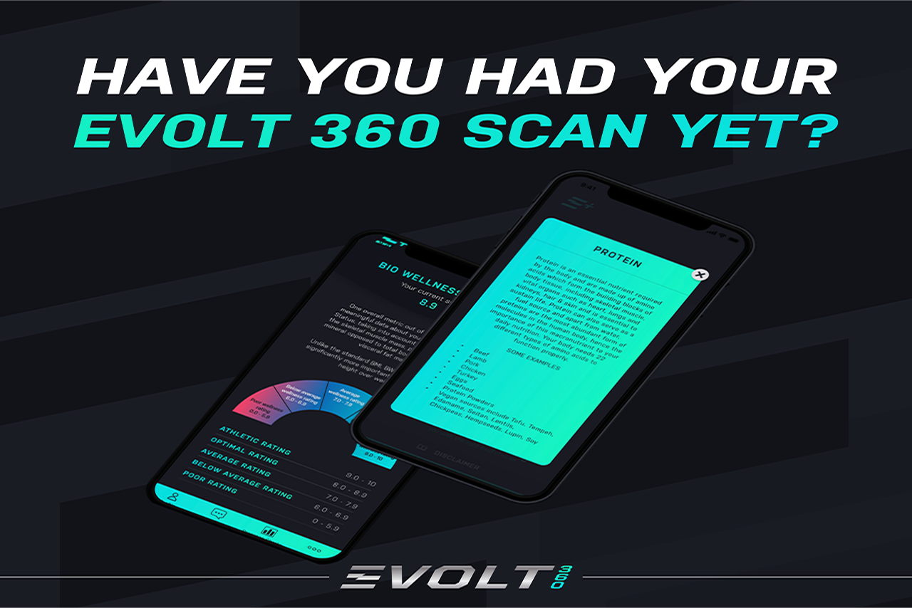 EVOLT 360 body scanner