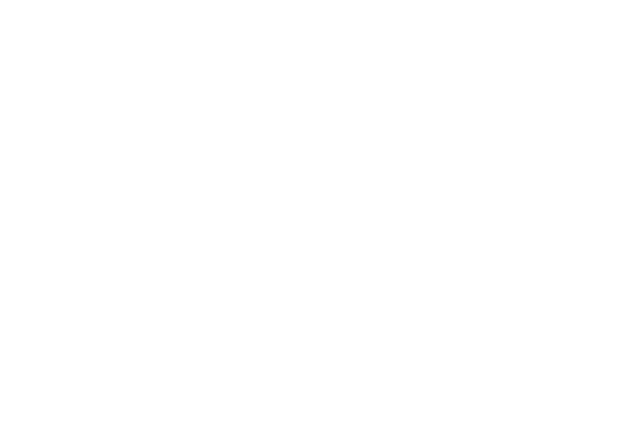 Ms. Dhérby The Queen of Wholesaling Land Real Estate