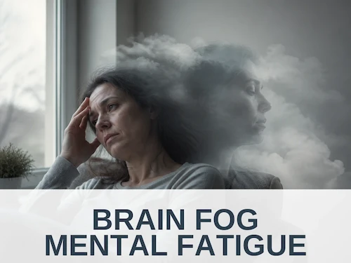 Brain Fog Mental Fatigue