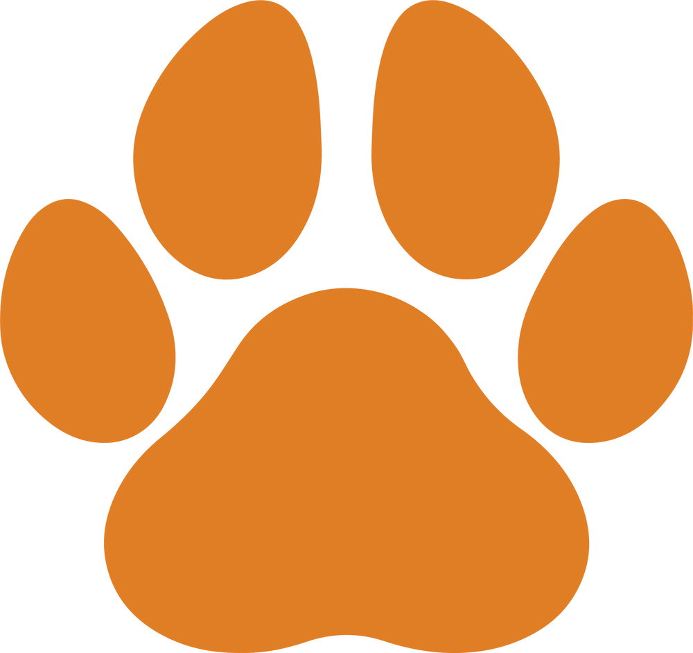 Paw