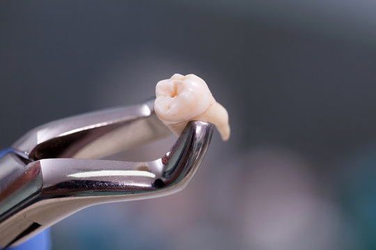 Who this dental service is for