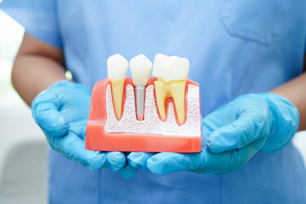 What to expect during your dental visit
