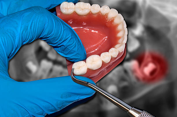What to expect during your dental visit