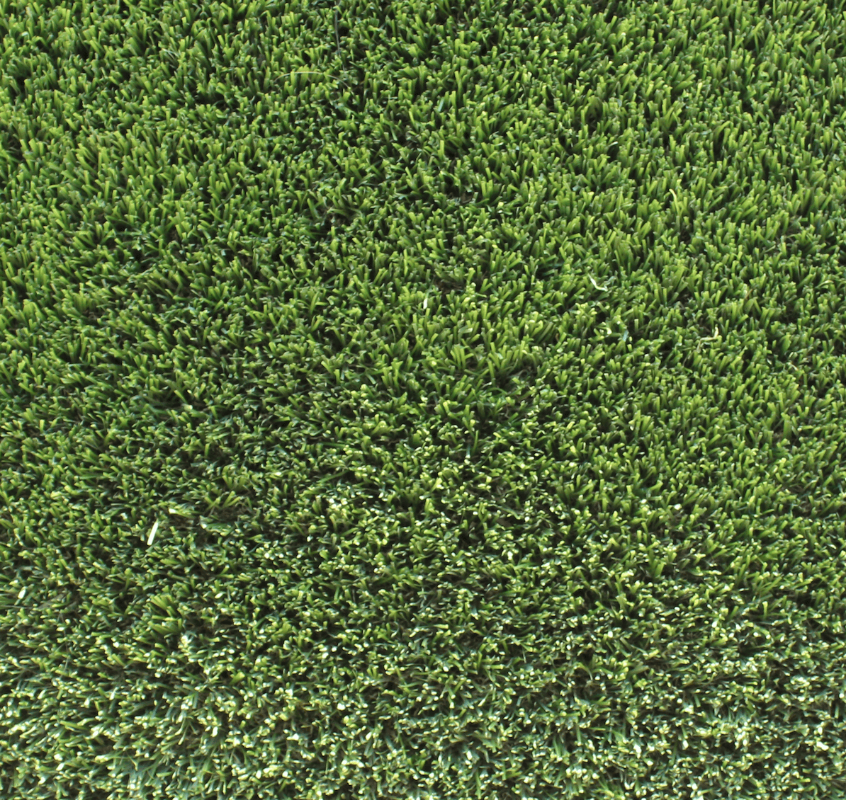 Synthetic Lawn at Paradise Building Materials in Brentwood, CA