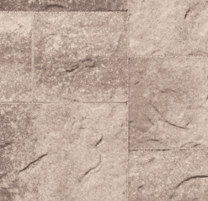 Echo Summit — Basalite Sierra Collection color option