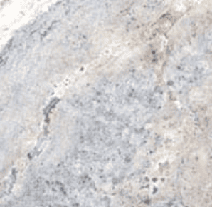 Travertine at Paradise Building Materials in Brentwood, CA