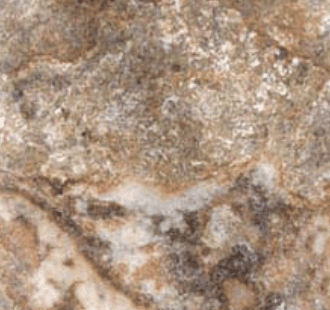 Tuscany Scabas — MSI Travertine color option