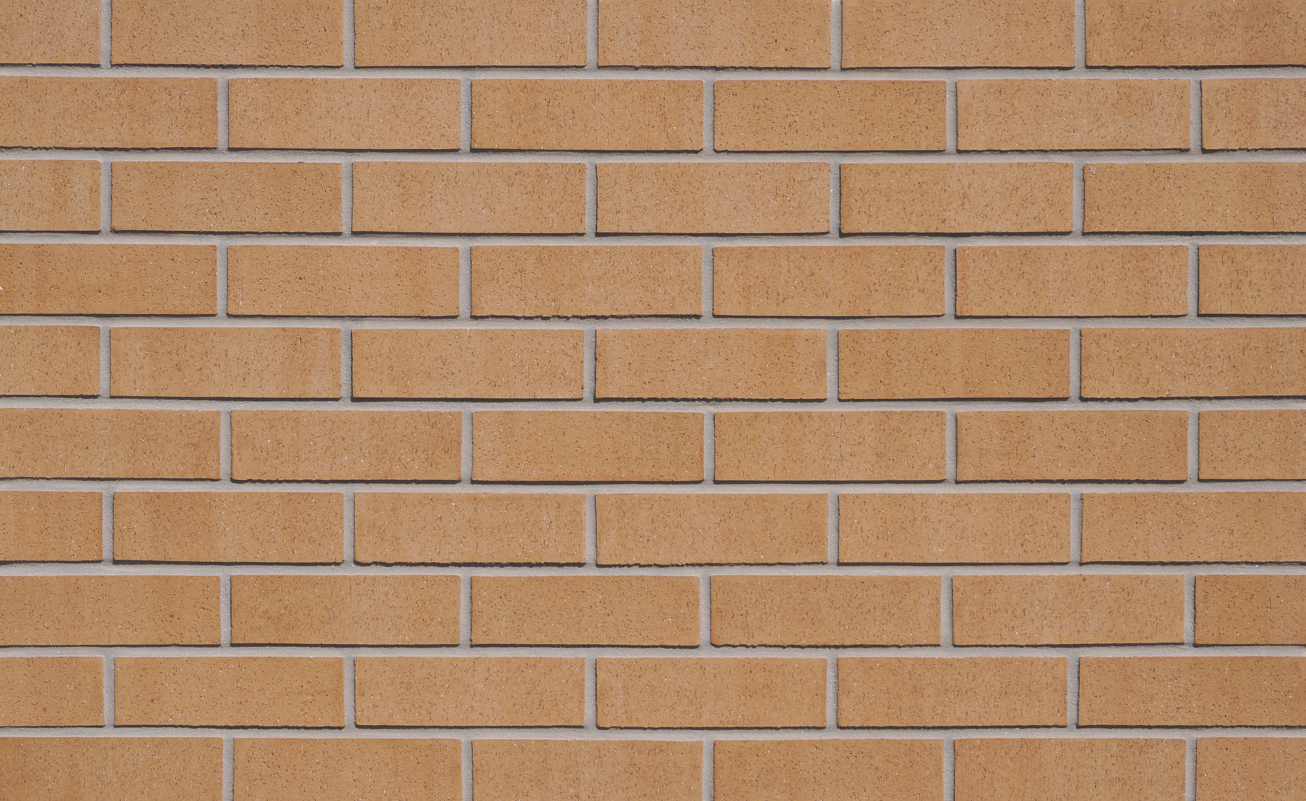 Dunsmuir Dieskin — McNear Commercial Face Brick Cropped color option